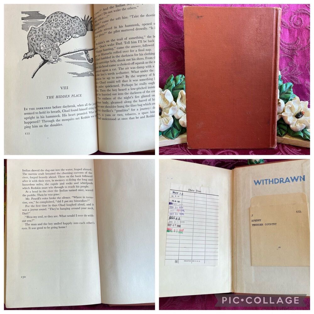 📚3 for $9 📚 1952 Vintage Book: Thunder Country Written and Illustrated - Picture 10 of 12